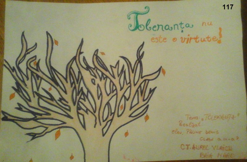 117_Denis PRUNE_Col Vlaicu.jpg